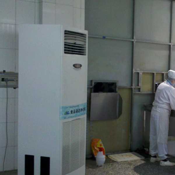 塘沽食品正负离子空气杀菌器